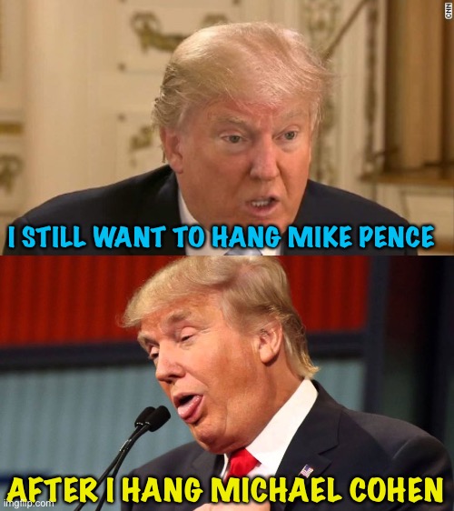Mike drop | I STILL WANT TO HANG MIKE PENCE; AFTER I HANG MICHAEL COHEN | image tagged in trump stupid face,stupid trump | made w/ Imgflip meme maker