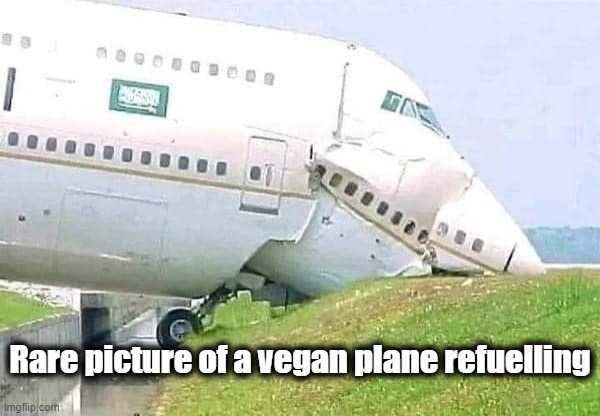 Vegan Plane | Rare picture of a vegan plane refuelling | image tagged in vegan,airplane,vegans,funny,funny meme | made w/ Imgflip meme maker