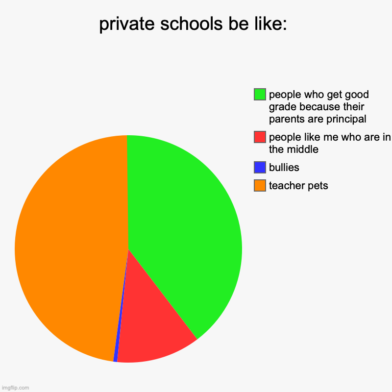 comment if you are student | private schools be like: | teacher pets, bullies, people like me who are in the middle, people who get good grade because their parents are  | image tagged in charts,pie charts | made w/ Imgflip chart maker