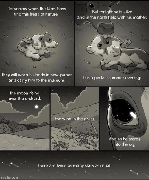 image tagged in wholesome,comics/cartoons | made w/ Imgflip meme maker