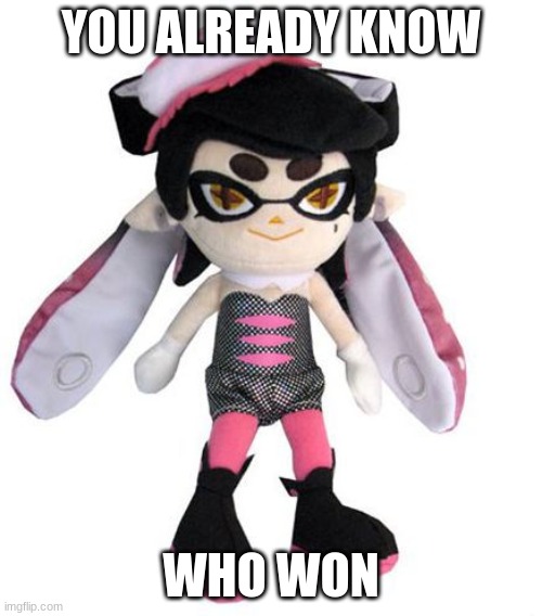 Guys? The telephone is telling me to do more stuff | YOU ALREADY KNOW; WHO WON | image tagged in oh wow are you actually reading these tags,splatoon | made w/ Imgflip meme maker