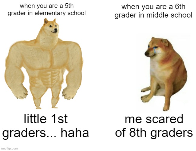 why so true lol | when you are a 5th grader in elementary school; when you are a 6th grader in middle school; little 1st graders... haha; me scared of 8th graders | image tagged in memes,buff doge vs cheems | made w/ Imgflip meme maker