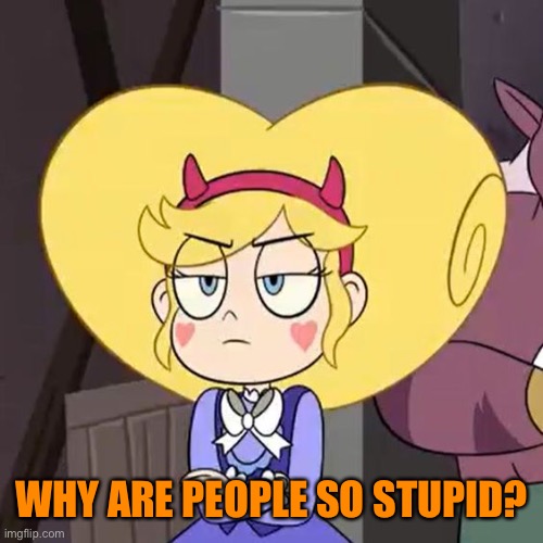 Star butterfly | WHY ARE PEOPLE SO STUPID? | image tagged in star butterfly | made w/ Imgflip meme maker