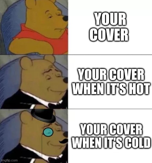 Fancy pooh | YOUR COVER; YOUR COVER WHEN IT'S HOT; YOUR COVER WHEN IT'S COLD | image tagged in fancy pooh,relatable | made w/ Imgflip meme maker