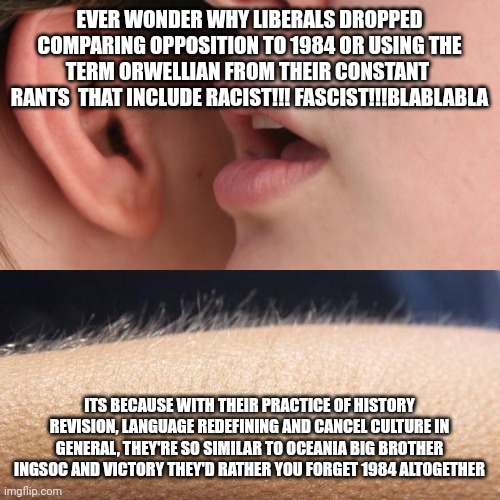 Whisper and Goosebumps | EVER WONDER WHY LIBERALS DROPPED COMPARING OPPOSITION TO 1984 OR USING THE TERM ORWELLIAN FROM THEIR CONSTANT  RANTS  THAT INCLUDE RACIST!!! FASCIST!!!BLABLABLA; ITS BECAUSE WITH THEIR PRACTICE OF HISTORY REVISION, LANGUAGE REDEFINING AND CANCEL CULTURE IN GENERAL, THEY'RE SO SIMILAR TO OCEANIA BIG BROTHER INGSOC AND VICTORY THEY'D RATHER YOU FORGET 1984 ALTOGETHER | image tagged in whisper and goosebumps | made w/ Imgflip meme maker