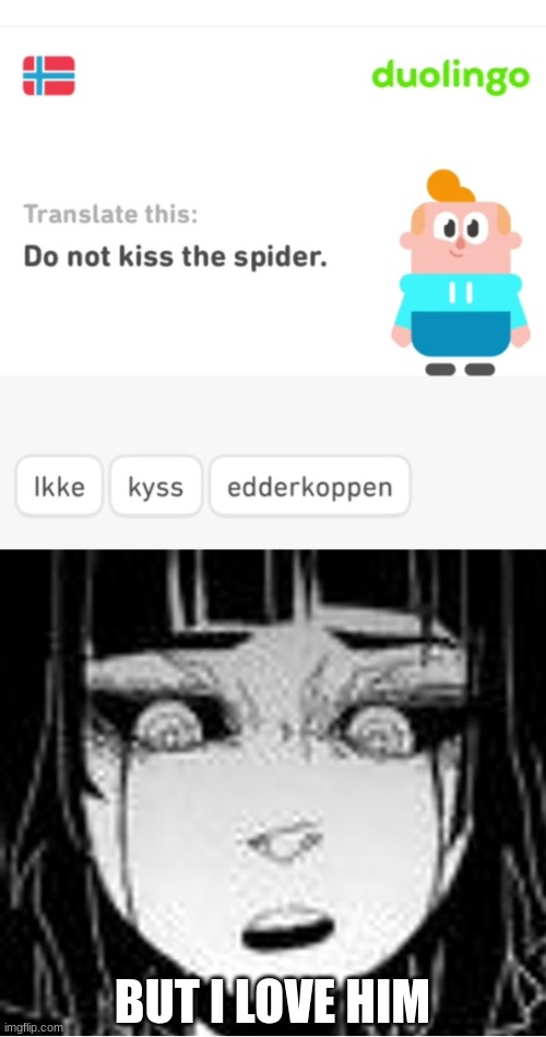 And doesn't kissing the spider kill you or something? | BUT I LOVE HIM | image tagged in minecraft,spiders,duolingo | made w/ Imgflip meme maker
