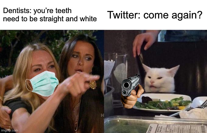 Woman Yelling At Cat | Dentists: you’re teeth need to be straight and white; Twitter: come again? | image tagged in memes,woman yelling at cat | made w/ Imgflip meme maker