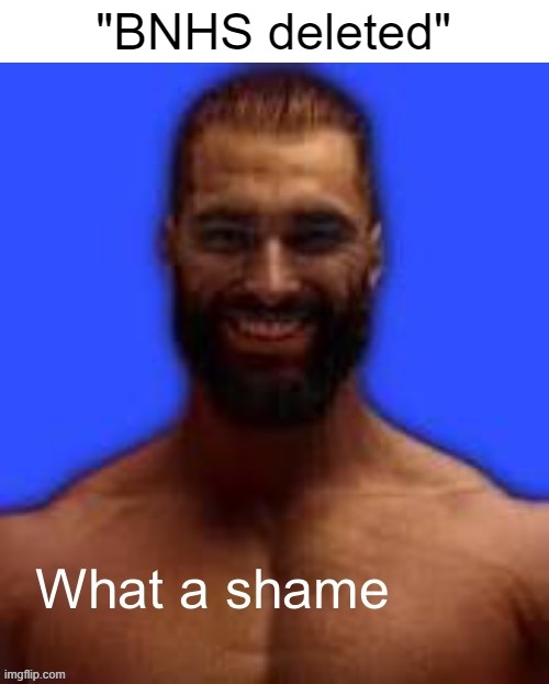 What a shame | "BNHS deleted" | image tagged in what a shame | made w/ Imgflip meme maker