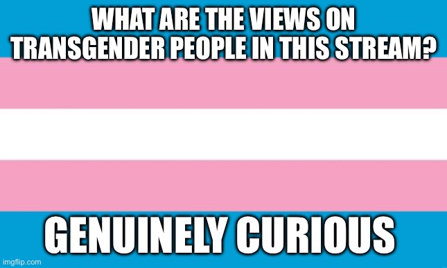 I just wanna know | WHAT ARE THE VIEWS ON TRANSGENDER PEOPLE IN THIS STREAM? GENUINELY CURIOUS | image tagged in transgender flag | made w/ Imgflip meme maker