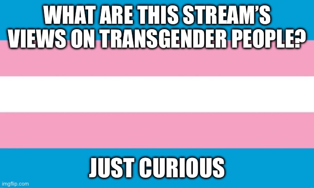 Just curious | WHAT ARE THIS STREAM’S VIEWS ON TRANSGENDER PEOPLE? JUST CURIOUS | image tagged in transgender flag | made w/ Imgflip meme maker