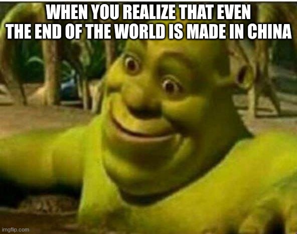 ... | WHEN YOU REALIZE THAT EVEN THE END OF THE WORLD IS MADE IN CHINA | image tagged in sherk amazed | made w/ Imgflip meme maker