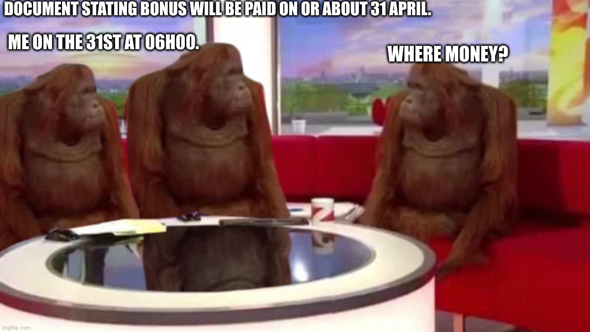 Bonus | DOCUMENT STATING BONUS WILL BE PAID ON OR ABOUT 31 APRIL. ME ON THE 31ST AT 06H00. WHERE MONEY? | image tagged in orangutan interview | made w/ Imgflip meme maker