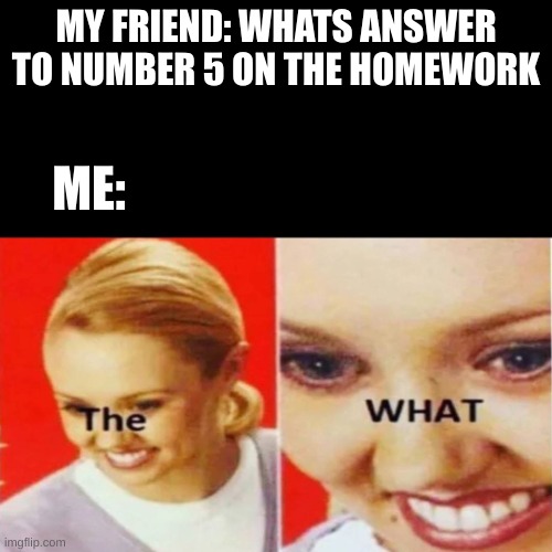 The what?? | MY FRIEND: WHATS ANSWER TO NUMBER 5 ON THE HOMEWORK; ME: | image tagged in the what | made w/ Imgflip meme maker