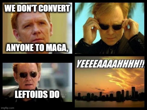 CSI MAGA | WE DON'T CONVERT; ANYONE TO MAGA, LEFTOIDS DO | image tagged in csi | made w/ Imgflip meme maker