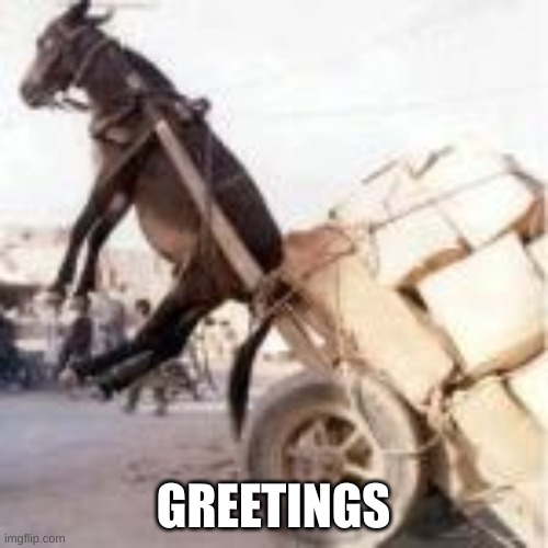 GREETINGS | made w/ Imgflip meme maker