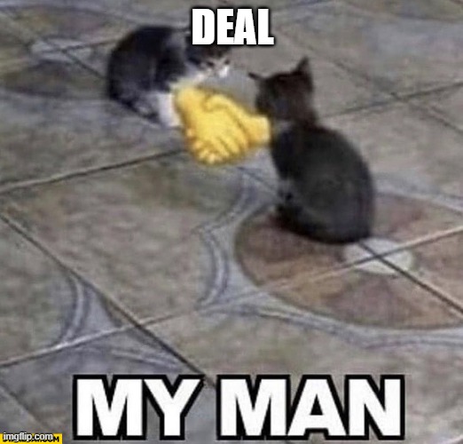Cats shaking hands | DEAL | image tagged in cats shaking hands | made w/ Imgflip meme maker