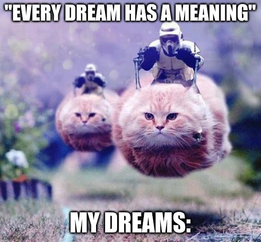 Storm Trooper Cats | "EVERY DREAM HAS A MEANING"; MY DREAMS: | image tagged in storm trooper cats | made w/ Imgflip meme maker