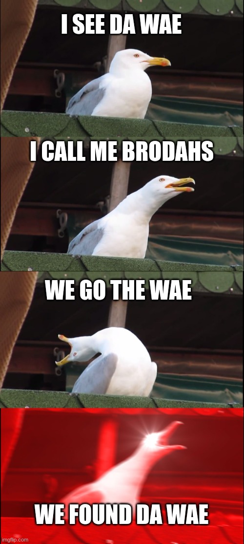 Inhaling Seagull Meme | I SEE DA WAE; I CALL ME BRODAHS; WE GO THE WAE; WE FOUND DA WAE | image tagged in memes,inhaling seagull,da wae,do you know da wae | made w/ Imgflip meme maker