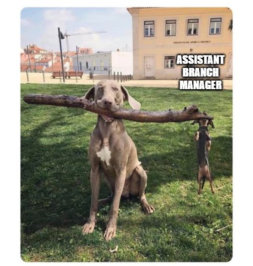 ASSISTANT BRANCH MANAGER | made w/ Imgflip meme maker