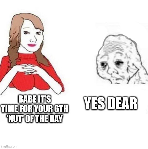 Yes Dear | BABE IT'S TIME FOR YOUR 6TH 'NUT' OF THE DAY; YES DEAR | image tagged in yes dear | made w/ Imgflip meme maker