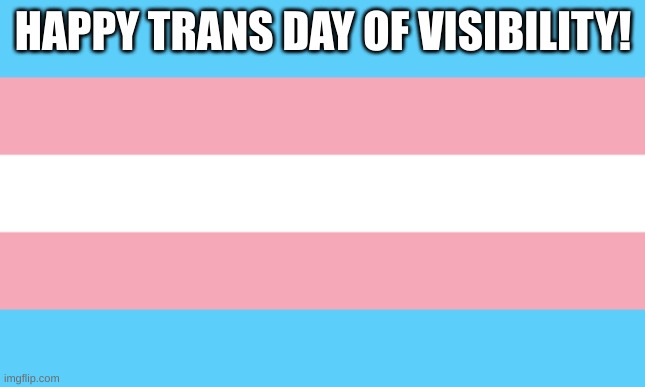 From one trans person to you all! | HAPPY TRANS DAY OF VISIBILITY! | image tagged in trans flag | made w/ Imgflip meme maker