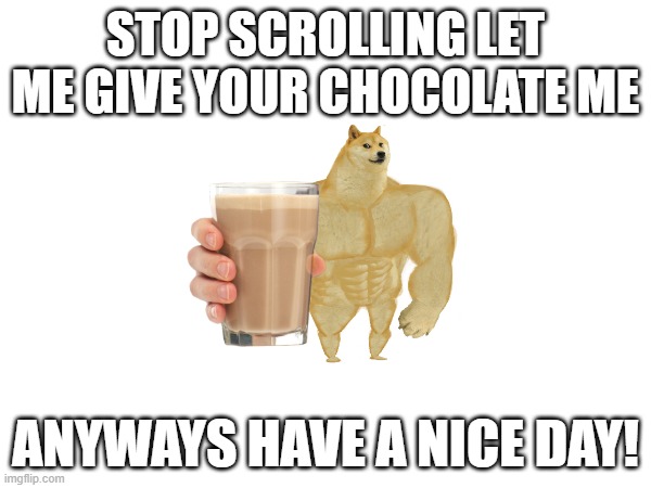 Have a nice day. | STOP SCROLLING LET ME GIVE YOUR CHOCOLATE ME; ANYWAYS HAVE A NICE DAY! | image tagged in wholesome,fun,happy | made w/ Imgflip meme maker