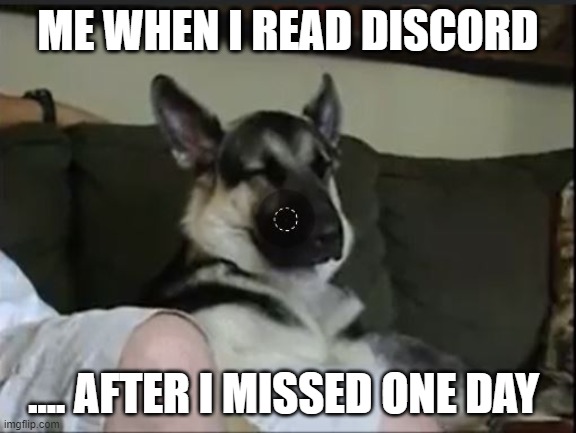 ME WHEN I READ DISCORD; .... AFTER I MISSED ONE DAY | made w/ Imgflip meme maker