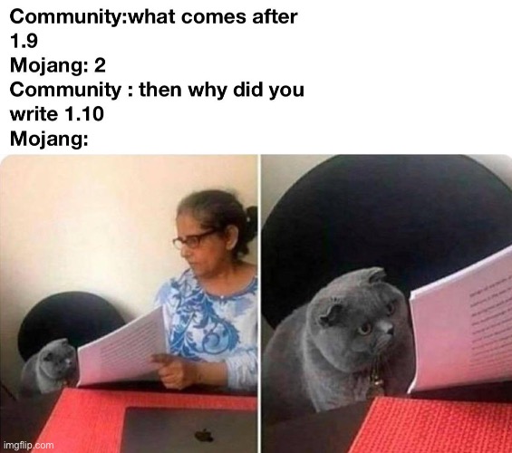 image tagged in minecraft,memes | made w/ Imgflip meme maker
