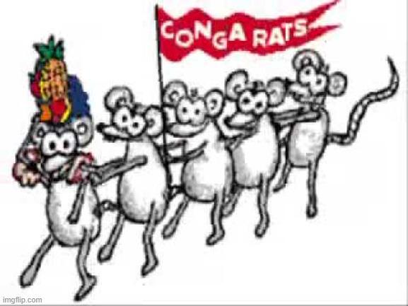 image tagged in congo rats | made w/ Imgflip meme maker