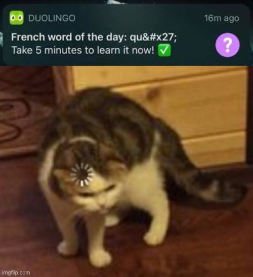 qu&#x27 | image tagged in loading cat | made w/ Imgflip meme maker