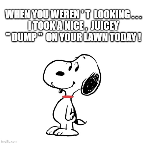 dog pooping | WHEN YOU WEREN ' T  LOOKING . . .
I TOOK A NICE ,  JUICEY
" DUMP "  ON YOUR LAWN TODAY ! | image tagged in funny dogs | made w/ Imgflip meme maker