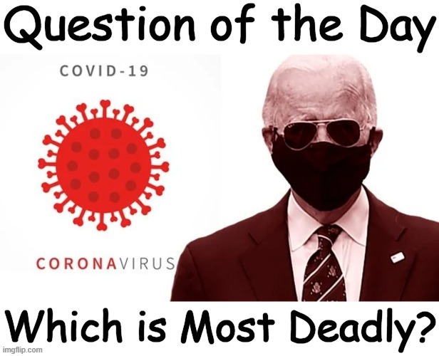 Your answer will be revealing. | image tagged in politics,joe biden,covid-19,deadly,things,political humor | made w/ Imgflip meme maker