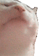 e.g. Funny Hat Meme Template