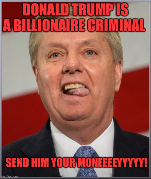 Lindsey Derp | DONALD TRUMP IS A BILLIONAIRE CRIMINAL; SEND HIM YOUR MONEEEEYYYYY! | image tagged in lindsey derp | made w/ Imgflip meme maker