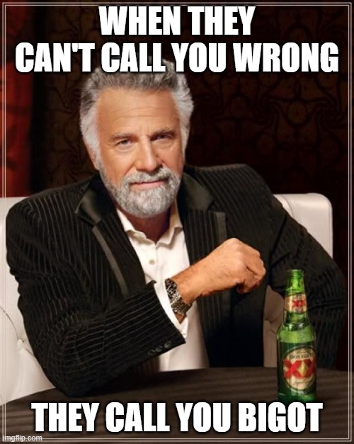 The Most Interesting Man In The World | WHEN THEY CAN'T CALL YOU WRONG; THEY CALL YOU BIGOT | image tagged in memes,the most interesting man in the world | made w/ Imgflip meme maker