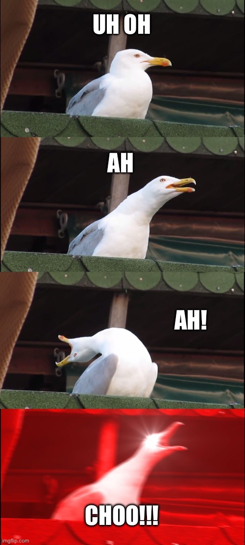 Inhaling Seagull | UH OH; AH; AH! CHOO!!! | image tagged in memes,inhaling seagull | made w/ Imgflip meme maker