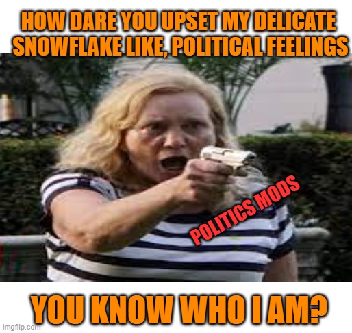 HOW DARE YOU UPSET MY DELICATE

 SNOWFLAKE LIKE, POLITICAL FEELINGS YOU KNOW WHO I AM? POLITICS MODS | made w/ Imgflip meme maker