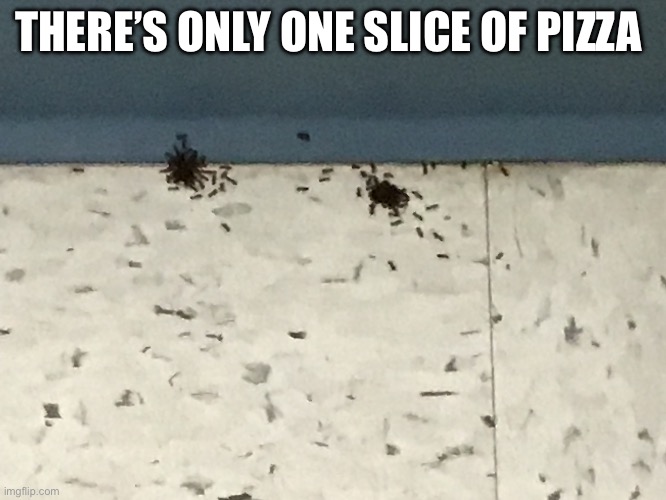THERE’S ONLY ONE SLICE OF PIZZA | image tagged in hangry | made w/ Imgflip meme maker