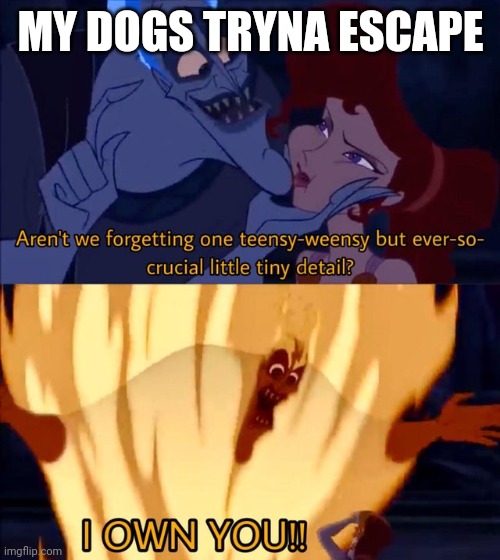 Hades I own you | MY DOGS TRYNA ESCAPE | image tagged in hades i own you | made w/ Imgflip meme maker