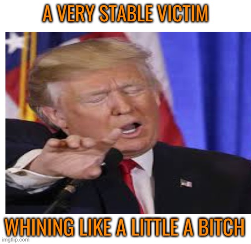 A VERY STABLE VICTIM WHINING LIKE A LITTLE A BITCH | made w/ Imgflip meme maker