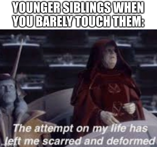 OOOOH IM HURT | YOUNGER SIBLINGS WHEN YOU BARELY TOUCH THEM: | image tagged in the attempt on my life has left me scarred and deformed | made w/ Imgflip meme maker