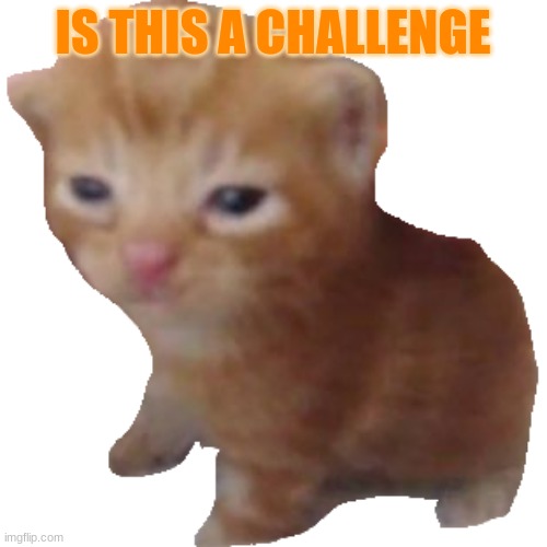 Herbert | IS THIS A CHALLENGE | image tagged in herbert | made w/ Imgflip meme maker