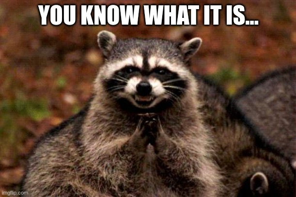 Evil Plotting Raccoon Meme | YOU KNOW WHAT IT IS... | image tagged in memes,evil plotting raccoon | made w/ Imgflip meme maker