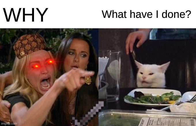 Woman Yelling At Cat Meme | WHY; What have I done? | image tagged in memes,woman yelling at cat | made w/ Imgflip meme maker
