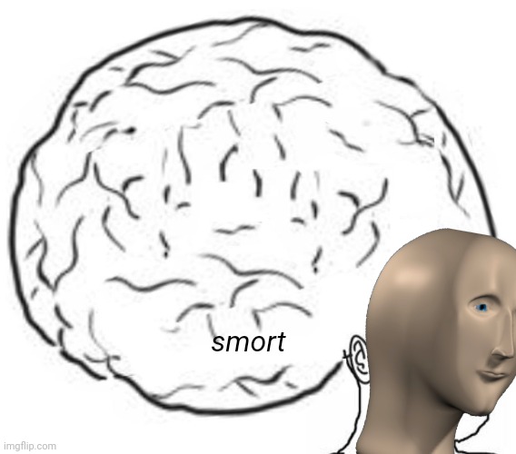 Big Brain | smort | image tagged in big brain | made w/ Imgflip meme maker