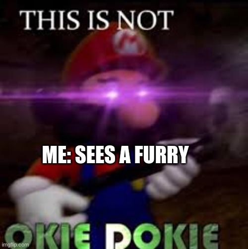 This is not okie dokie | ME: SEES A FURRY | image tagged in this is not okie dokie | made w/ Imgflip meme maker