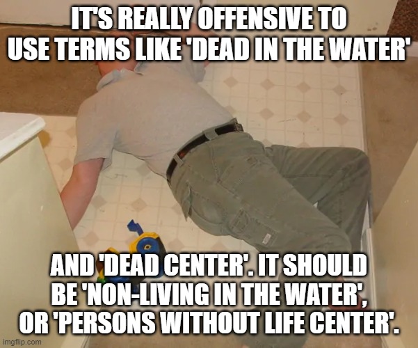 dead person | IT'S REALLY OFFENSIVE TO USE TERMS LIKE 'DEAD IN THE WATER'; AND 'DEAD CENTER'. IT SHOULD BE 'NON-LIVING IN THE WATER', OR 'PERSONS WITHOUT LIFE CENTER'. | image tagged in dead person | made w/ Imgflip meme maker