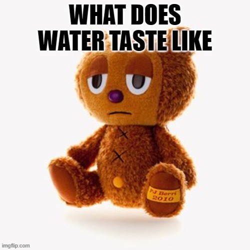 Pj plush | WHAT DOES WATER TASTE LIKE | image tagged in pj plush | made w/ Imgflip meme maker