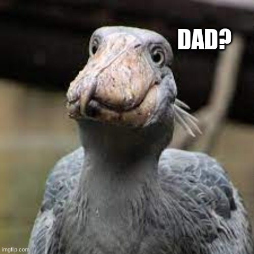 DAD? | made w/ Imgflip meme maker