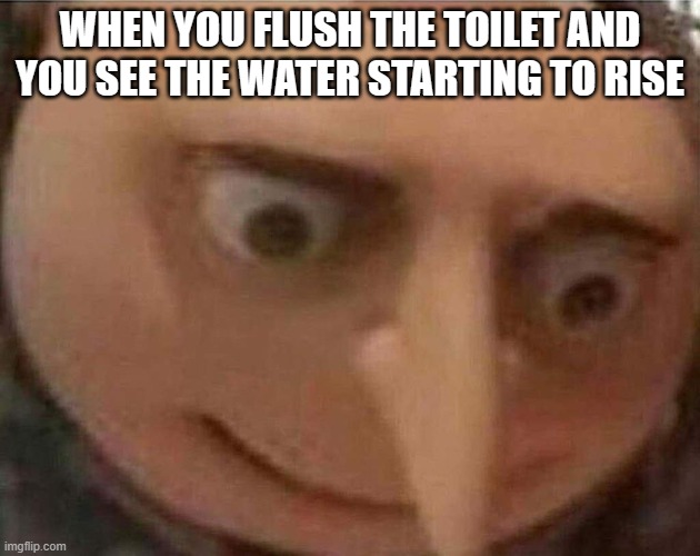 Came back from the bathroom and saw this... 0-0 | WHEN YOU FLUSH THE TOILET AND YOU SEE THE WATER STARTING TO RISE | image tagged in gru meme | made w/ Imgflip meme maker